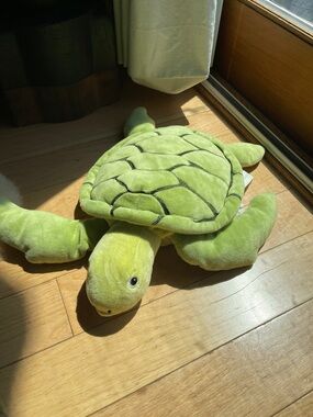 IKEA Green Plush Turtle Toy